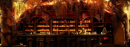 The Shady Pig